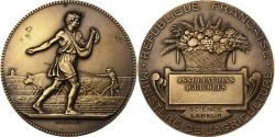 World Coins - France, Medal, Ministère de l'Agriculture, Associations Agricoles, Bronze
