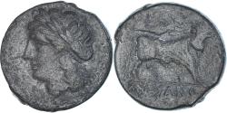 Ancient Coins - Coin, Campania, Æ, ca. 265-240 BC, Suessa Aurunca, , Bronze, HGC:1-511