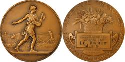 World Coins - France, Medal, Ministère de l'Agriculture, Associations Agricoles, 1951