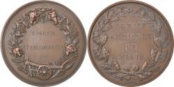 World Coins - France, Medal, Comice Agricole de Blois, Engrais et Amendements, Borrel.A