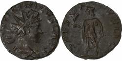 Ancient Coins - Tetricus II, Antoninianus, 273-274, Gaul, Billon, , RIC:272