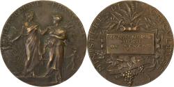 World Coins - France, Medal, Concours Régional Hippique de Nevers, 1902, Bronze, Dubois.A