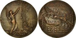 World Coins - France, Medal, Art Nouveau, Journal Le Matin, Riberon, , Bronze