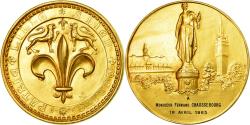 World Coins - France, Medal, Lille a bien Mérité de la Patrie, 1985, , Gilt Bronze