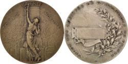 World Coins - France, Medal, French Third Republic, Sports & leisure, Dubois.A,