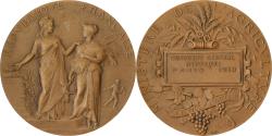 World Coins - France, Medal, Concours Central Hippique de Paris, 1910, Bronze, Alphée Dubois