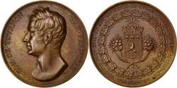 World Coins - France, Medal, Charles X, Politics, Society, War, 1824, Barre, , Copper