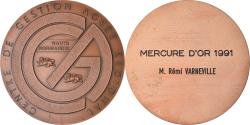 World Coins - France, Medal, Centre de Gestion agréé Régional, Haute-Normandie, 1991