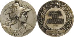 World Coins - France, Medal, Comité Central des Chambres Syndicales, Silvered bronze