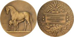World Coins - France, Medal, Direction des Haras, Concours Central Hippique de Paris, Bronze