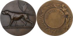 World Coins - France, Medal, Pointer club, 1934, Bronze, Briquemont/Rivet,