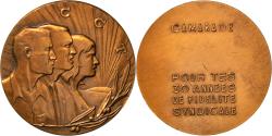 World Coins - France, Medal, Syndicat, CGT, , Bronze