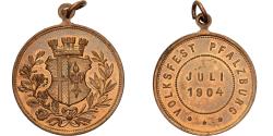 World Coins - Germany, Medal, Volksfest Pfalzburg, 1904, Brass,