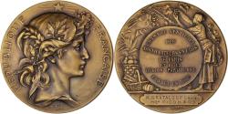 World Coins - France, Medal, Distillateurs en Gros de Paris, Business & industry, Bottée