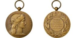 World Coins - France, Medal, French Third Republic, Business & industry, Dupuis.D,