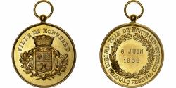 World Coins - France, Medal, Fête fédérale, ville de Montbard, 1909, Gilt Bronze,