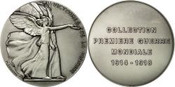 World Coins - France, Medal, Première Guerre Mondiale, Victoires de la Marne, Delannoy