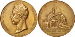 World Coins - France, Medal, Charles X, Politics, Society, War, Gayrard, , Copper