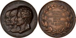 World Coins - France, Medal, Dictionnaire Universel d'Histoire Naturelle, 1843, Copper