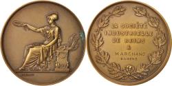 World Coins - France, Medal, La Société Industrielle de Reims, Business & industry, XXth