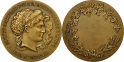 World Coins - France, Medal, Société Nationale d'encouragement à l'agriculture,