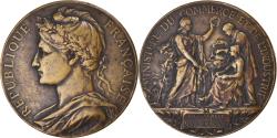 World Coins - France, Medal, Ministère du Commerce et de l'Industrie, Recensement, 1901