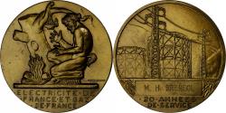 World Coins - France, Medal, Électricité de France et gaz de France, Bronze, Dropsy,