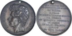 World Coins - France, Medal, Louis Philippe I, Armand Carrel et l'Assassinat de Ney, History