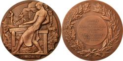 World Coins - France, Medal, Le Bois, Travaux Publics de Rouen, Business & industry, Ridet