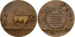 World Coins - France, Medal, Concours spéciaux de races bovines - Roubaix, 1911, Bronze