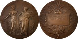World Coins - France, Medal, Agriculture Ministery, French Third Republic, Business &