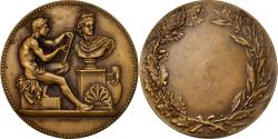 World Coins - France, Medal, Ville de Paris, Enseignement du Dessin, Arts & Culture, Lagrange