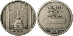 World Coins - France, Medal, Chambres de Métiers de France, Pas de Calais, 1925,