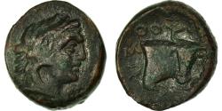 Ancient Coins - Coin, Lucania, Thourioi, Bronze, Thourioi, , Bronze, BMC:140