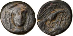 Ancient Coins - Coin, Euboia, Chalkis, Bronze Æ, 245-196 BC, , Bronze