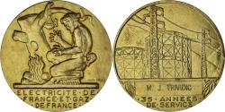 World Coins - France, Medal, Électricité de France et gaz de France, Dropsy, , Gilt