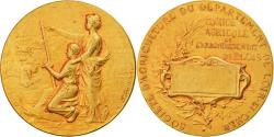 World Coins - France, Medal, Agriculture and Horticulture, Comice Agricole de Blois