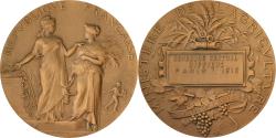 World Coins - France, Medal, Concours Central Hippique de Paris, 1910, Bronze, Alphée Dubois