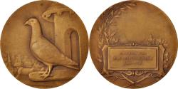 World Coins - France, Medal, M. J. Appourchaux, Député, Politics, Society, War,