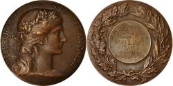 World Coins - France, Medal, Enseignement, Lycée Janson de Sailly, Polac Jean, Paris