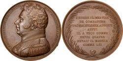 World Coins - France, Medal, Louis XVIII, History, Caqué, , Bronze