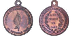 World Coins - France, Medal, Louis Napoléon Bonaparte, Banquet Fraternel, Ville de Caen