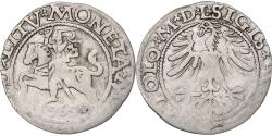 World Coins - Poland, Kingdom of Poland-Lithuania, Sigismund II, 1/2 Grosz, 1562, Vilnius