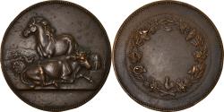 World Coins - France, Medal, Agriculture, Animaux de la Ferme, Alphée Dubois,