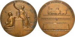 World Coins - Portugal, Medal, Caminhos de Ferro Portugueses, Primeiro Centenario, Railway