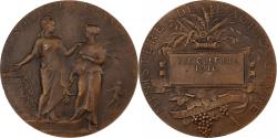 World Coins - France, Medal, Viticulture, 1910, Bronze, Alphée Dubois,