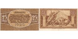 World Coins - Banknote, Germany, Bonn, 25 Pfennig, personnage, 1920, UNC(63), Mehl:74.6b