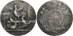 World Coins - France, Medal, Société d'Aviculture de la Nièvre, n.d., Silvered bronze
