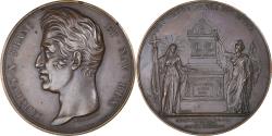 World Coins - France, Medal, Charles X, Monument aux Martyrs de Quiberon, History, Depaulis