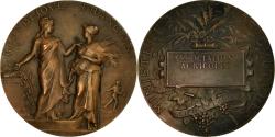 World Coins - France, Medal, Ministère de l'Agriculture, Associations Agricoles, Dubois.A